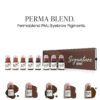 Permablend Eyebrow PMU Pigment | Warm Colors Variants