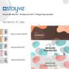 Stayve BB Glow Kit – Professional Skin Tinting & Rejuvenation